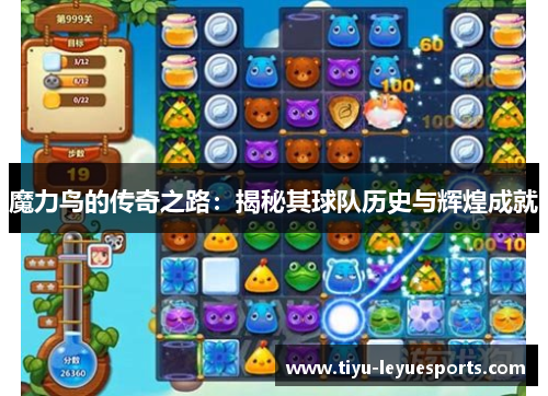 魔力鸟的传奇之路：揭秘其球队历史与辉煌成就