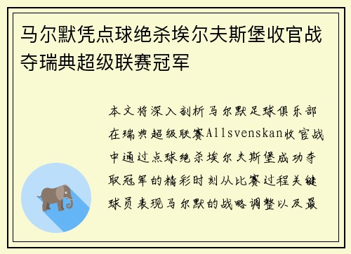 马尔默凭点球绝杀埃尔夫斯堡收官战夺瑞典超级联赛冠军
