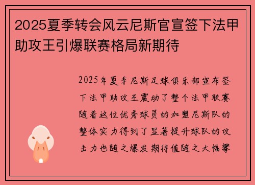 2025夏季转会风云尼斯官宣签下法甲助攻王引爆联赛格局新期待