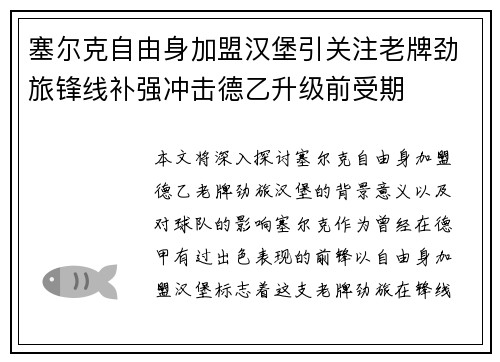 塞尔克自由身加盟汉堡引关注老牌劲旅锋线补强冲击德乙升级前受期 塞尔克自由身加盟汉堡引关注老牌劲旅锋线补强冲击德乙升级前受期